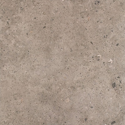 Starlight Grafit Gres 60x60 - фото 1