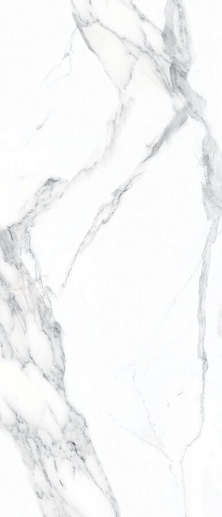 Titanium Calacatta Classico Polished 120x278 - фото 1