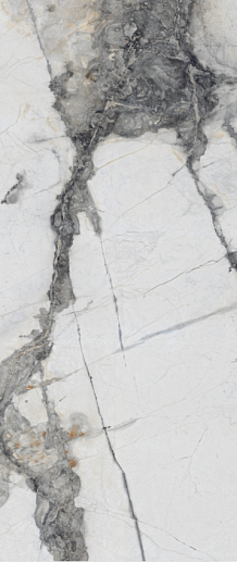 Titanium Renoir Polished 120x278 - фото 1
