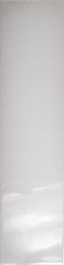 Tivoli Grey 10x40 - фото 1