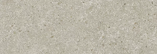 Lunario Beige 24.2x70 - фото 1