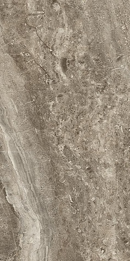 Gregory Коричневый 25x50 - фото 1