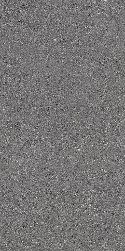 Grain Stone Fine Grain Dark Nat.30x60 - фото 1