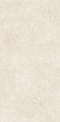 Barsoom Beige M 60x120 - фото 1