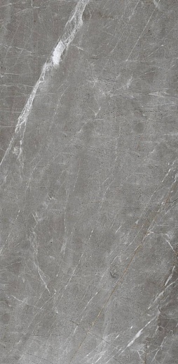 Patara Grigio Серый 60x120 - фото 1