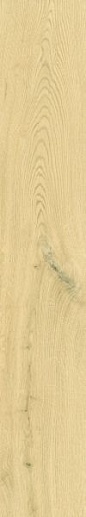 VividWood Светлый Дуб Матовый 20x120 - фото 1