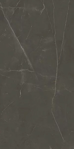 Linearstone Brown 59.8x119.8 - фото 1