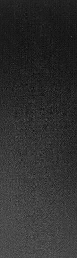 Filo Pece 3.5 100x300 - фото 1