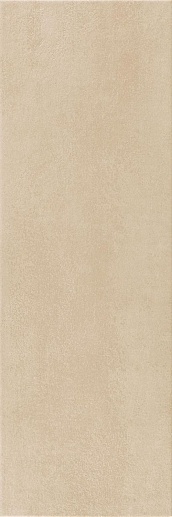 Dosso Miele 25x75 - фото 1