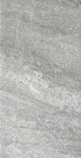Stonehenge Grey 60x120 - фото 1