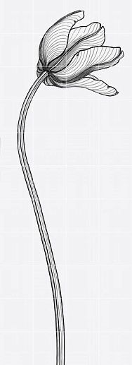 Design Tuli-charme 4 80x220 - фото 1