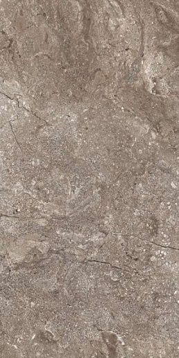 60x120 Stone Grey Polished - фото 1
