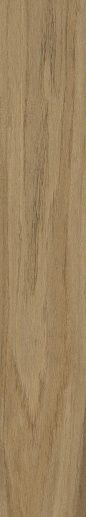 Walnut Бежевый Матовый 20x120 - фото 1