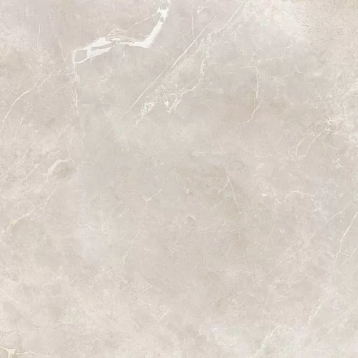 Imagine Beige 60x60 - фото 1