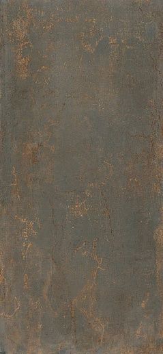 Rhodium Iron 120x260 - фото 1
