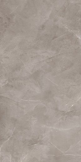 Harmonic Grey Pol 119.8x239.8 - фото 1