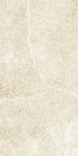 HolyStone White 61x122.2 - фото 1