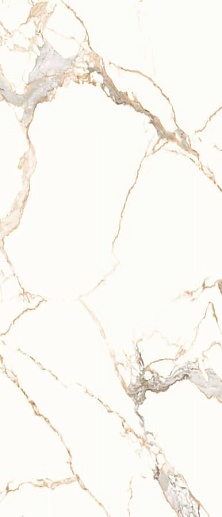 Titanium Statuario Gold Polished 120x278 - фото 1
