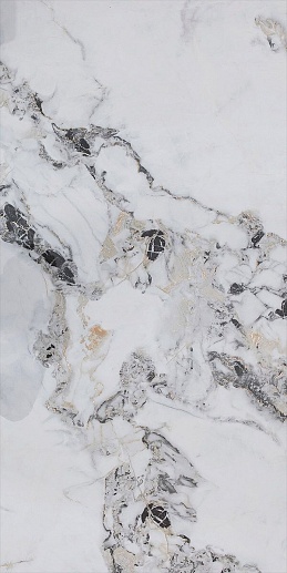 Китай PXF 484 Gold 60x120 - фото 1