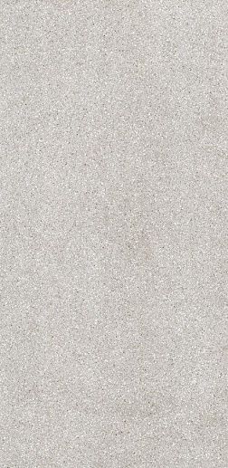 Terrazzone Grigio Honed 60x120 - фото 1