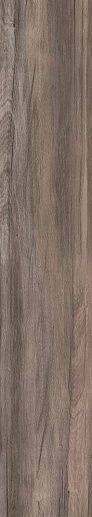 Dolphin Oak Rett. 20x120 - фото 1