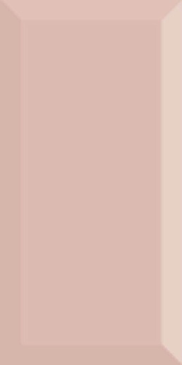 Monocolor Biselado Brillo Salmon 10x20 - фото 1