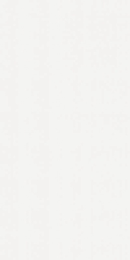 Neve Satin Rect 60x120 - фото 1