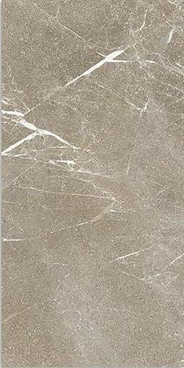 Star Greige Rett 60x120 - фото 1