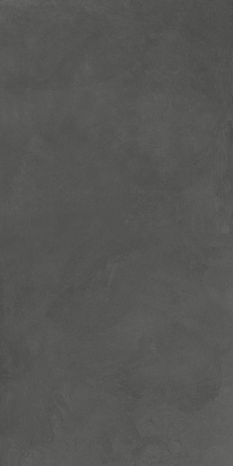 Evolution Gris Серый 60x120 - фото 1