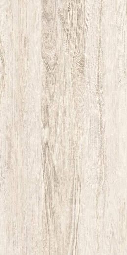 Forest Бежевый 30x60 - фото 1