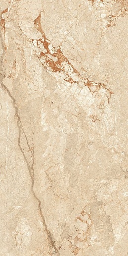 Sunhearrt Ceppo Di Beige 80x160 - фото 1