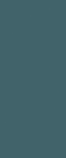 Boost Color Navy Matt 50x120 - фото 1