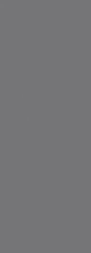 Foresta Silver 24.2x70 - фото 1