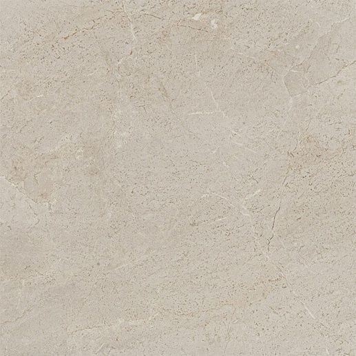 Milano Topo Brillo 59.6x59.6 - фото 1
