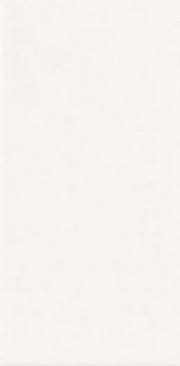 Plus Bissel Liso Brillo 10x20 - фото 1