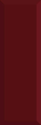 Monocolor Biselado Brillo Burdeos 10x30 - фото 1
