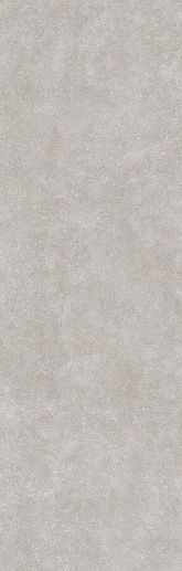 C-Stone Grey 100x300 - фото 1