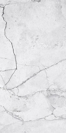 Atena Smoke 60x120 - фото 1