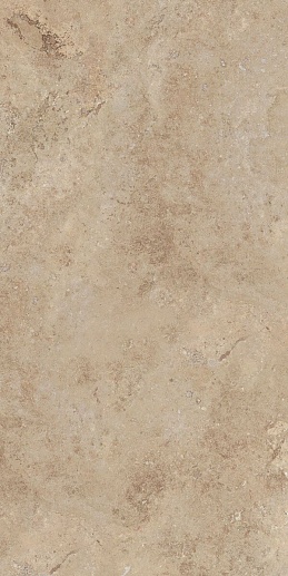 Century Elegance 60x120 - фото 1