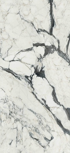 Les Bijoux de Rex Calacatta Altissimo B Matte 60x120 - фото 1