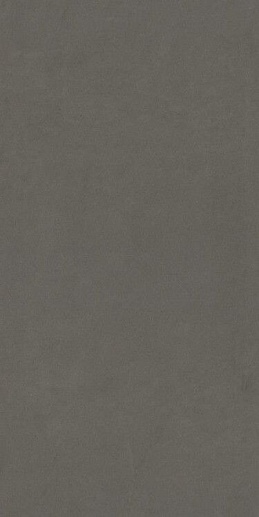 Silica Gris Matt 60x120 - фото 1