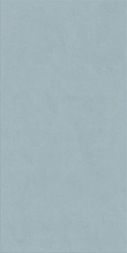 Floralia Bleuet 60x120 - фото 1
