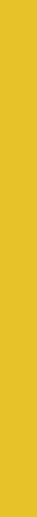 Colibri Copr.Giallo Glossy 0.8x25 - фото 1