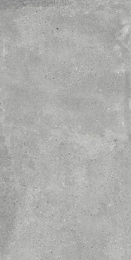 Callisto Gray 60x120 - фото 1