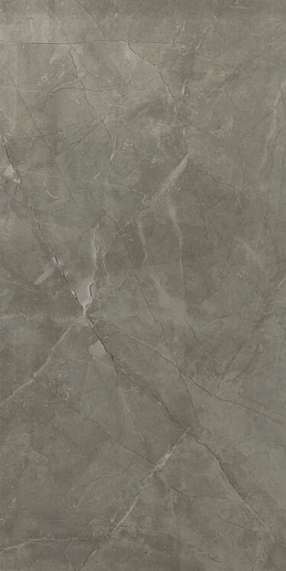 Bronze Armani Gris Carving 60x120 - фото 1