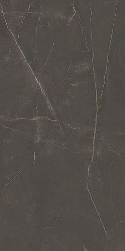 Linearstone Brown 59.8x119.8 - фото 1