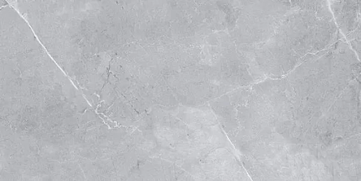 Amphora Light Grey 60x120 - фото 1