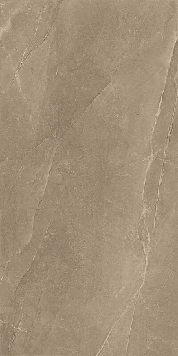 Pulpis Taupe Rett 60x120 - фото 1