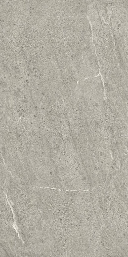 Emporio Grey Rec 60x120 - фото 1