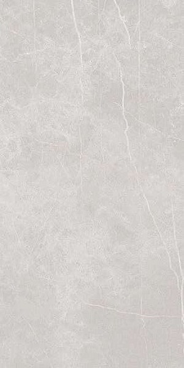 Stone Valeria Light Gray 60x120 - фото 1